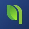 Bud logo