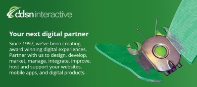 DDSN Interactive cover image