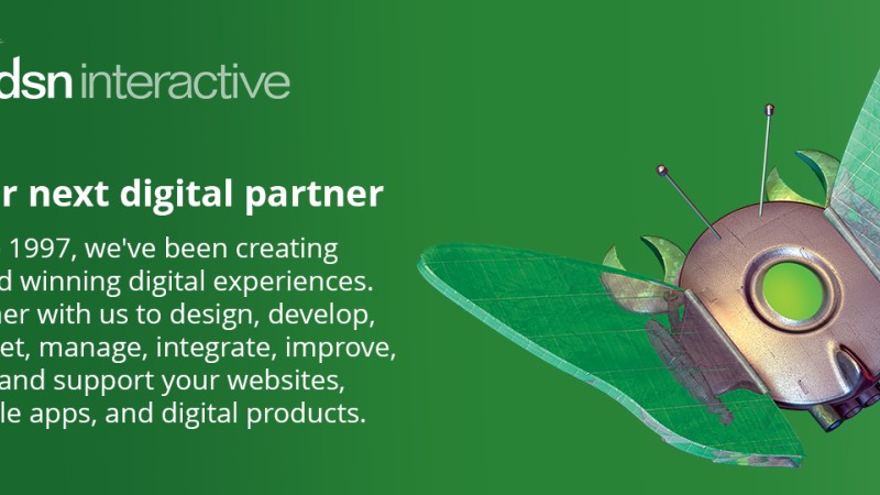 DDSN Interactive cover image