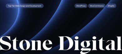 Stone Digital cover image