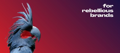 Misfit Branding cover image